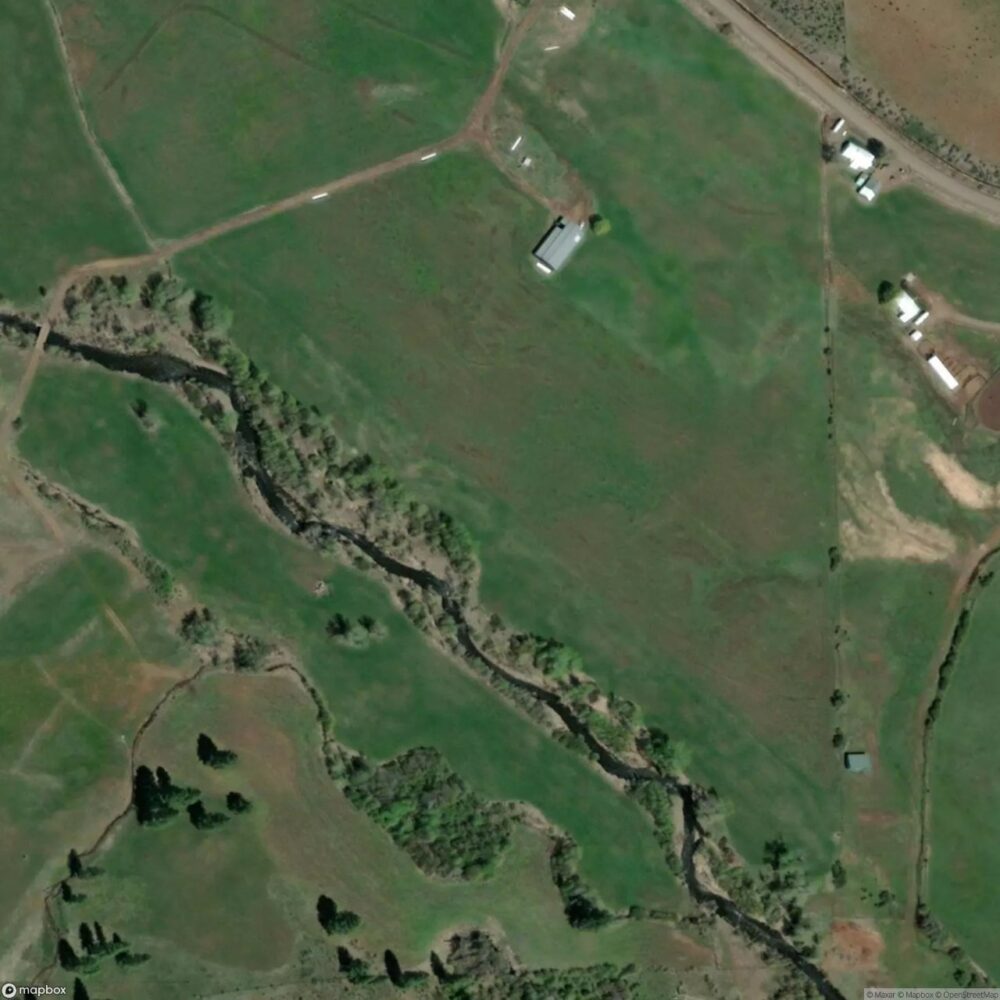 Flying Y Ranch