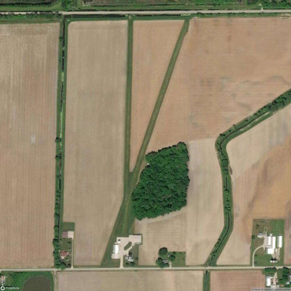 Gibbs Field