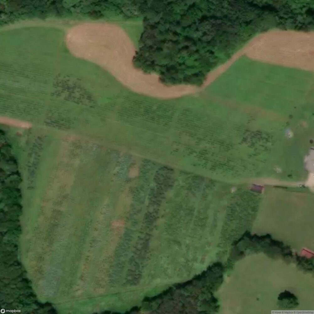 Pine Acres
