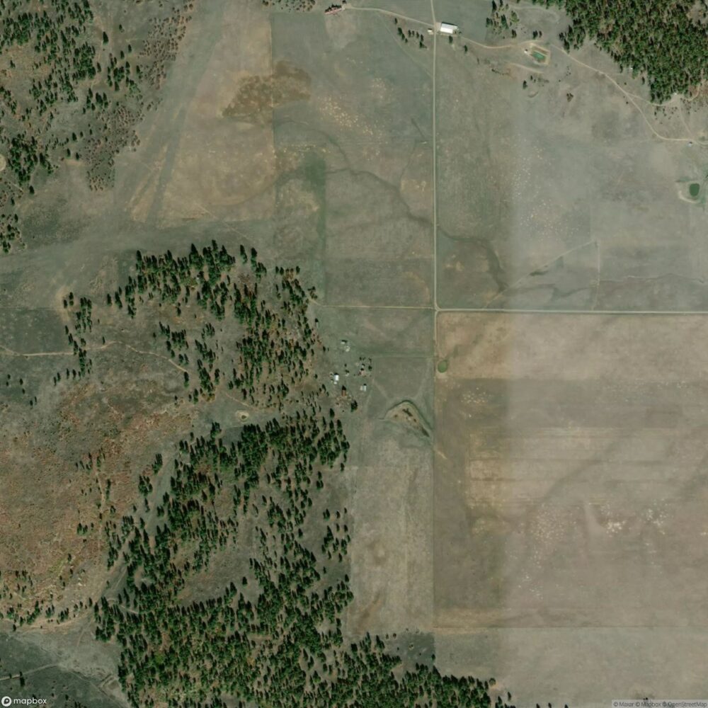 Flying M and M Ranch