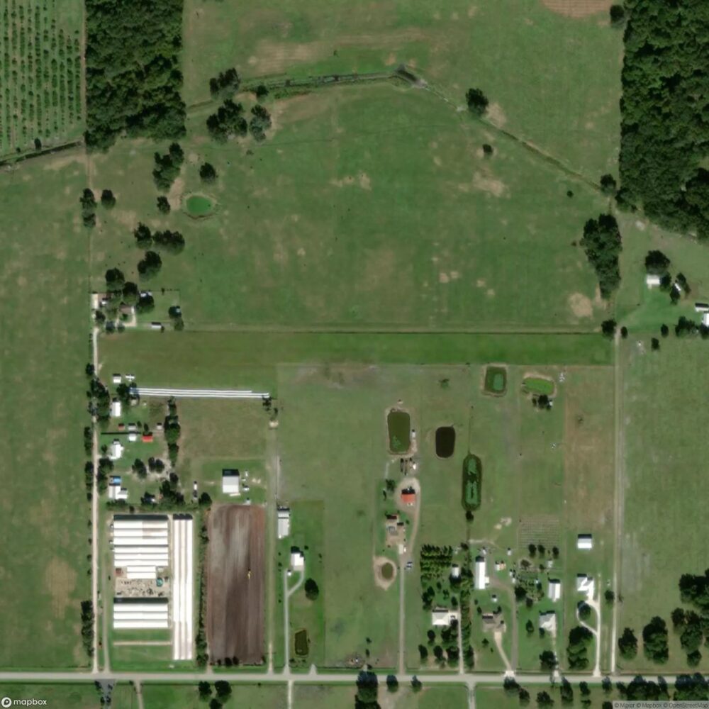 Frierson Grove