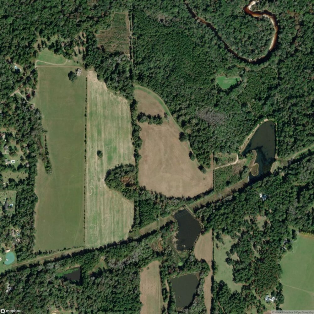 Paso Fino Farm