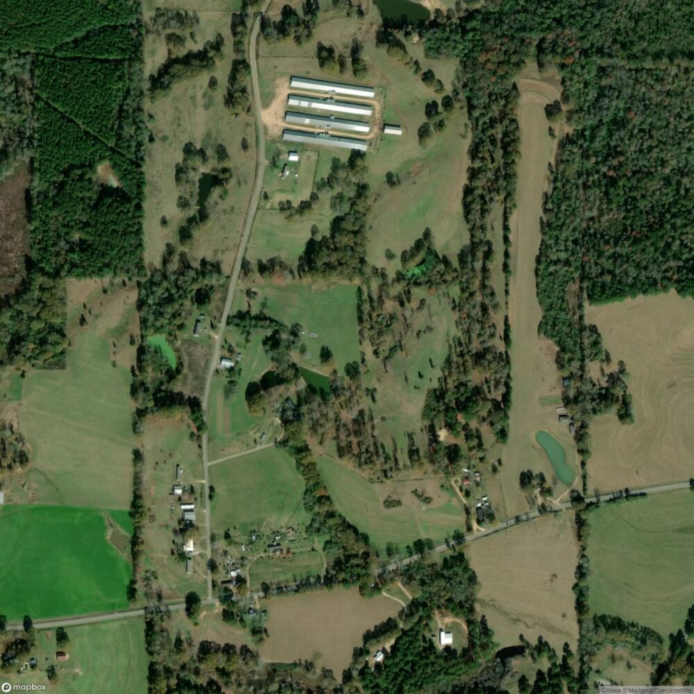 Morgan Field
