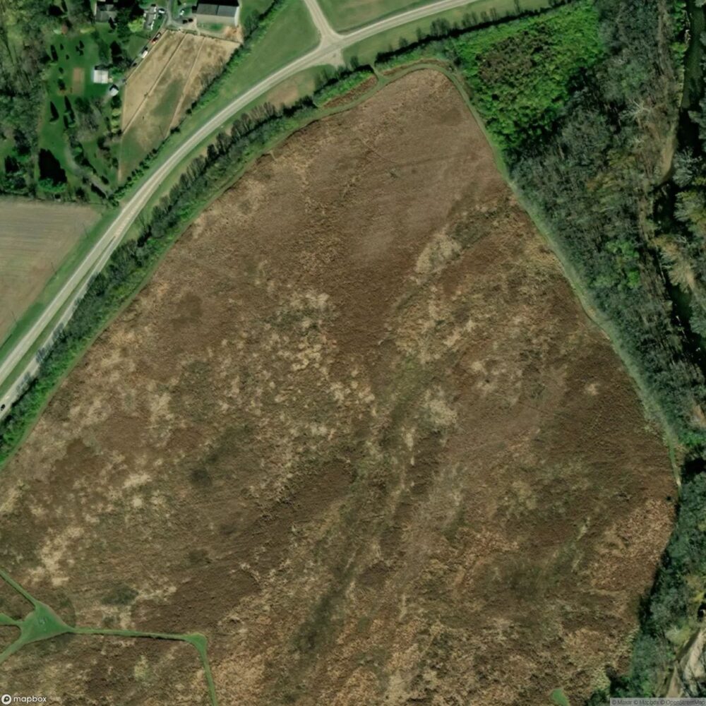 Fry Field