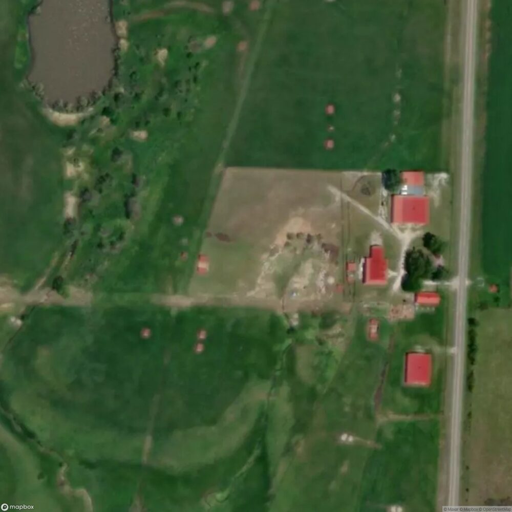 Ferguson Farms