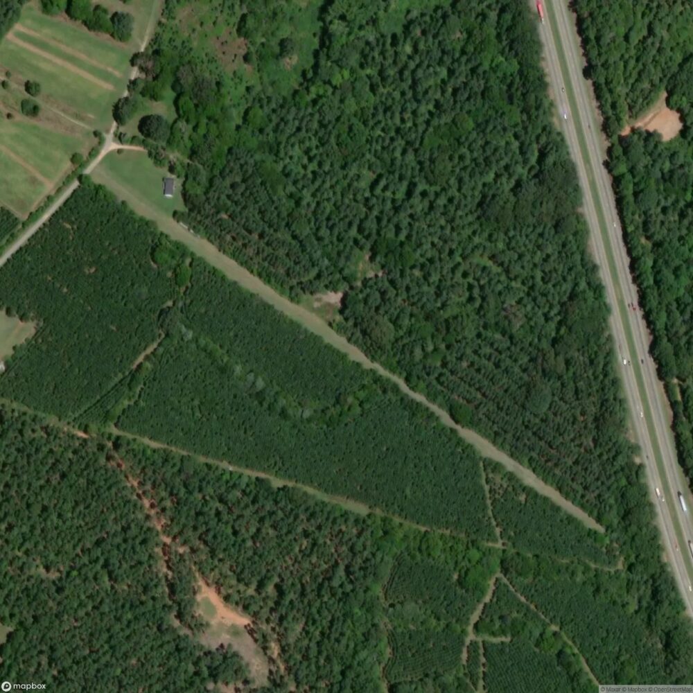 Carolina Cow Country