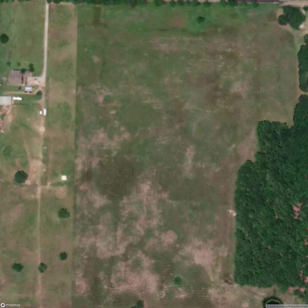 Flying t Ranch