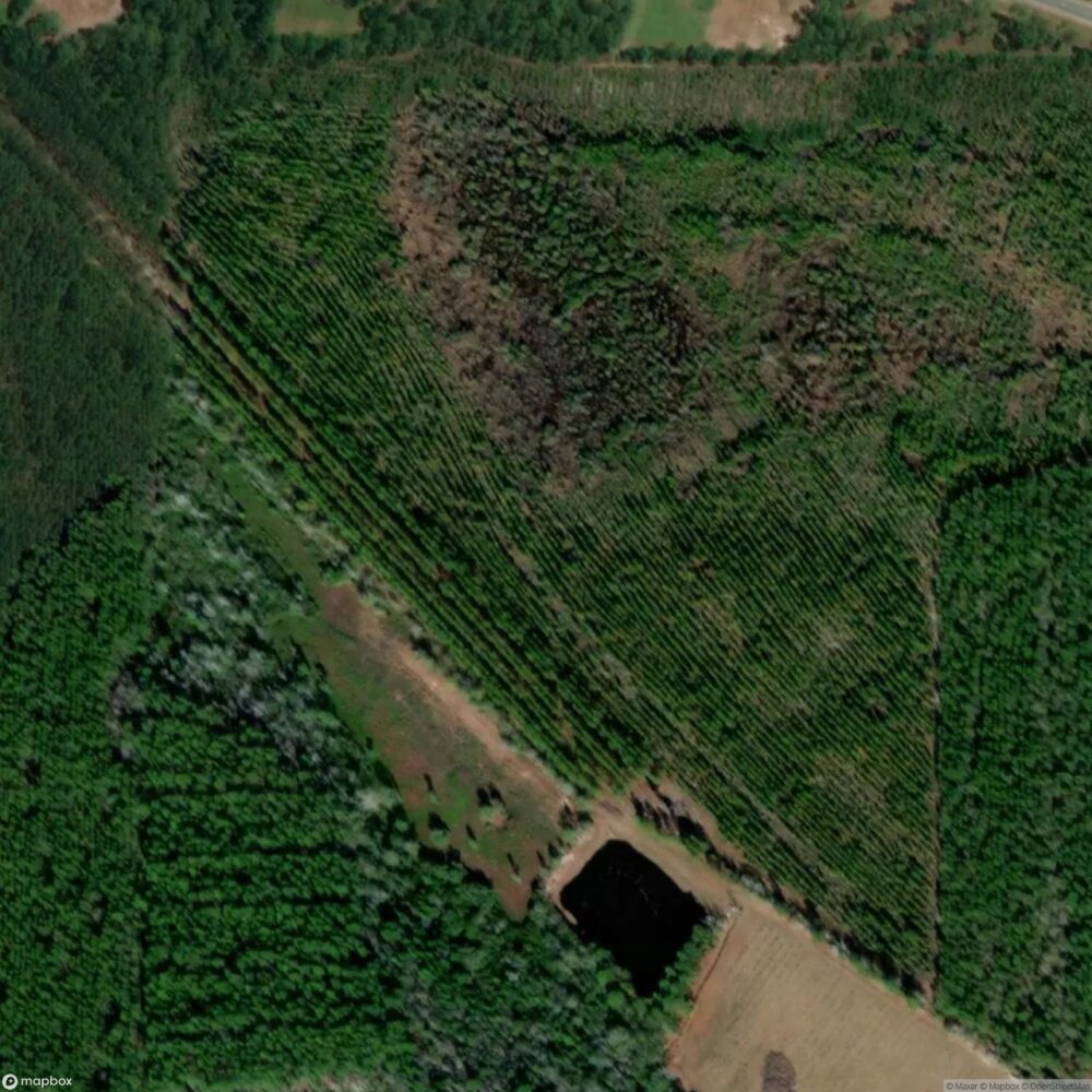 Forestry-Strip