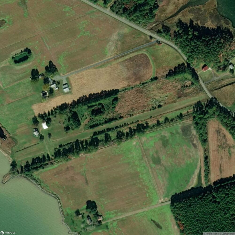 Big Oak Farm