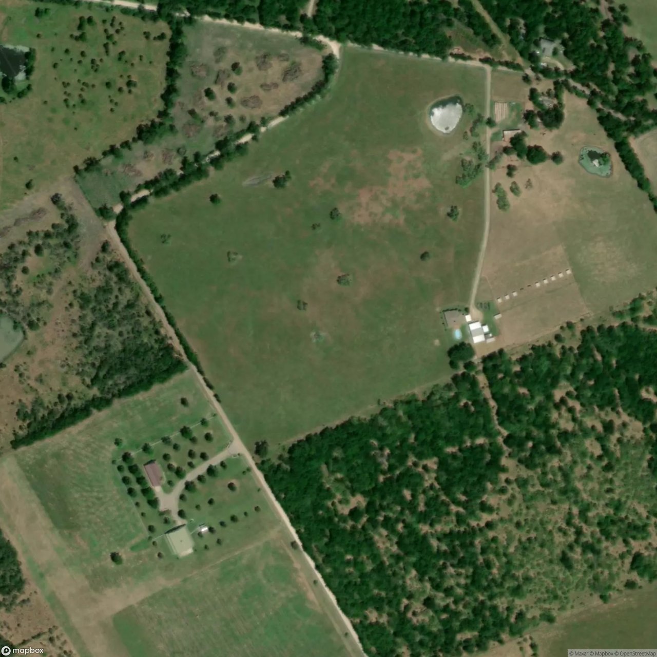 Hackberry