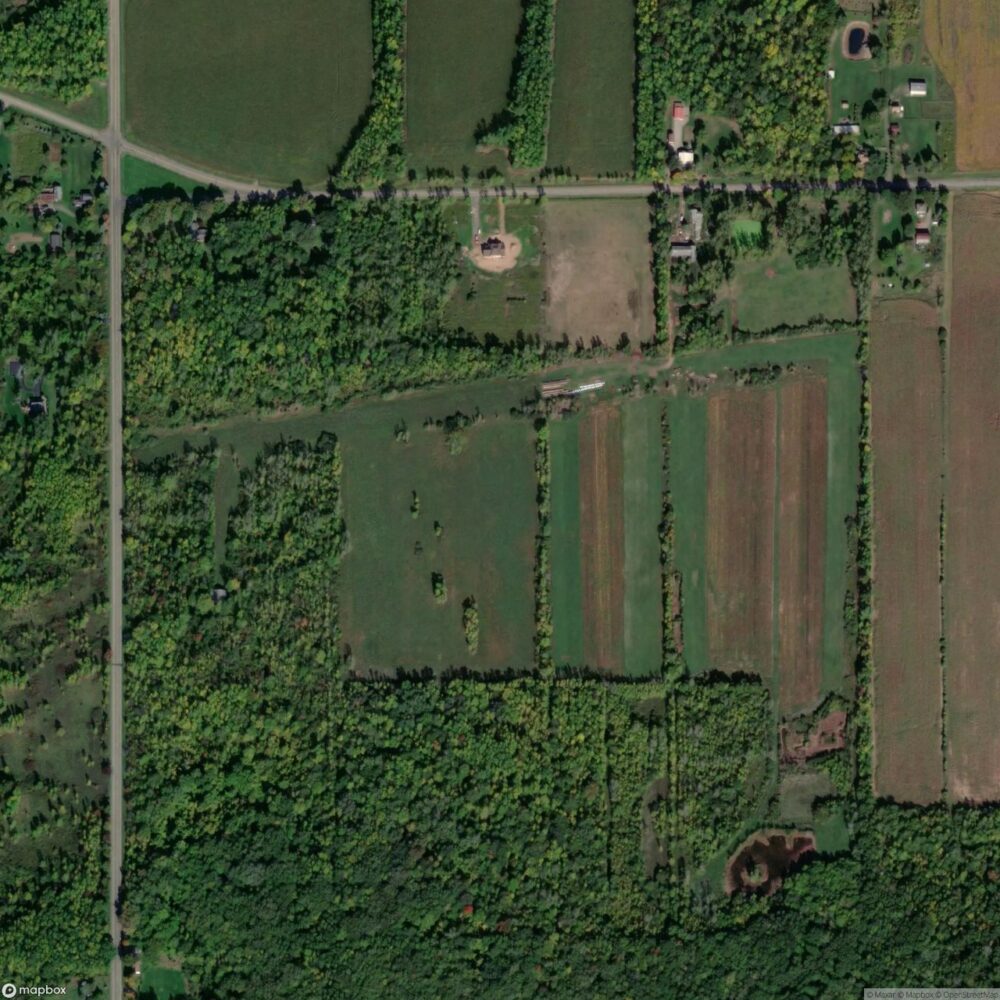 Major Field
