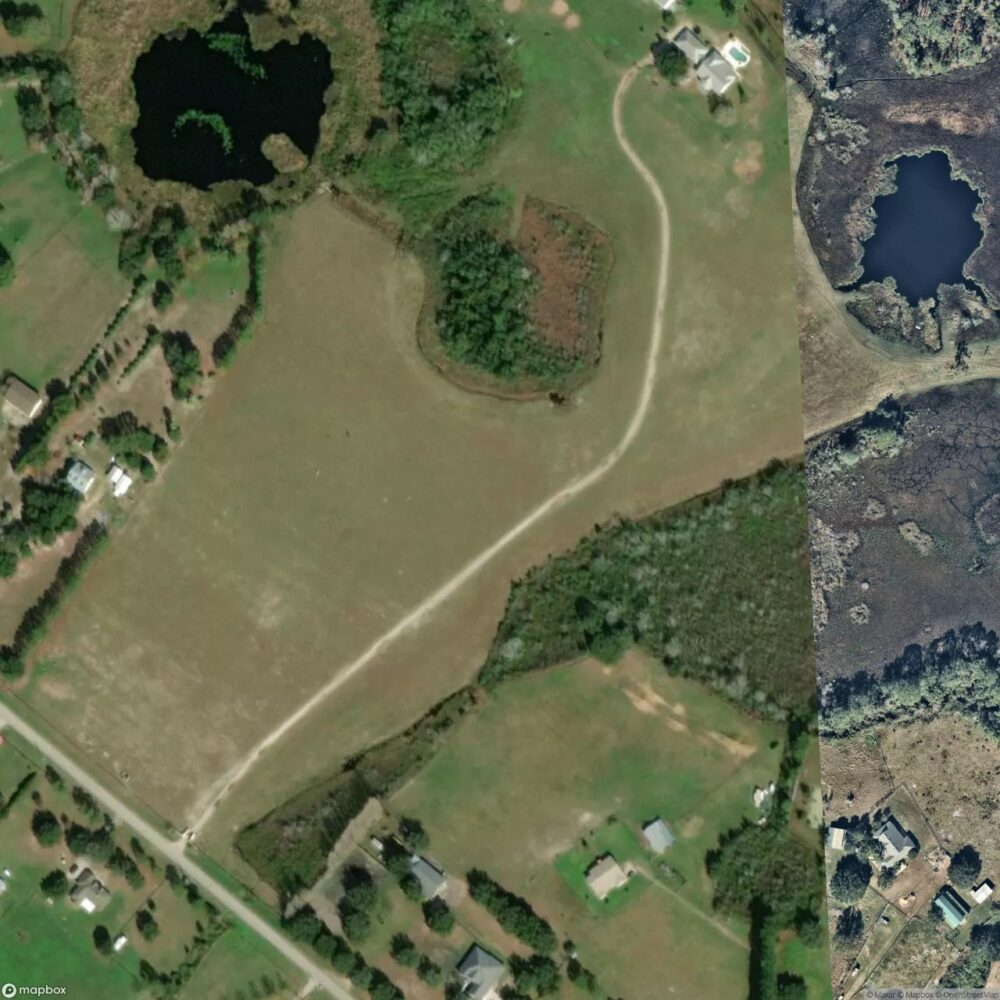 Kings Field