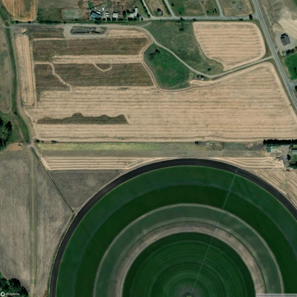 Harris Runway