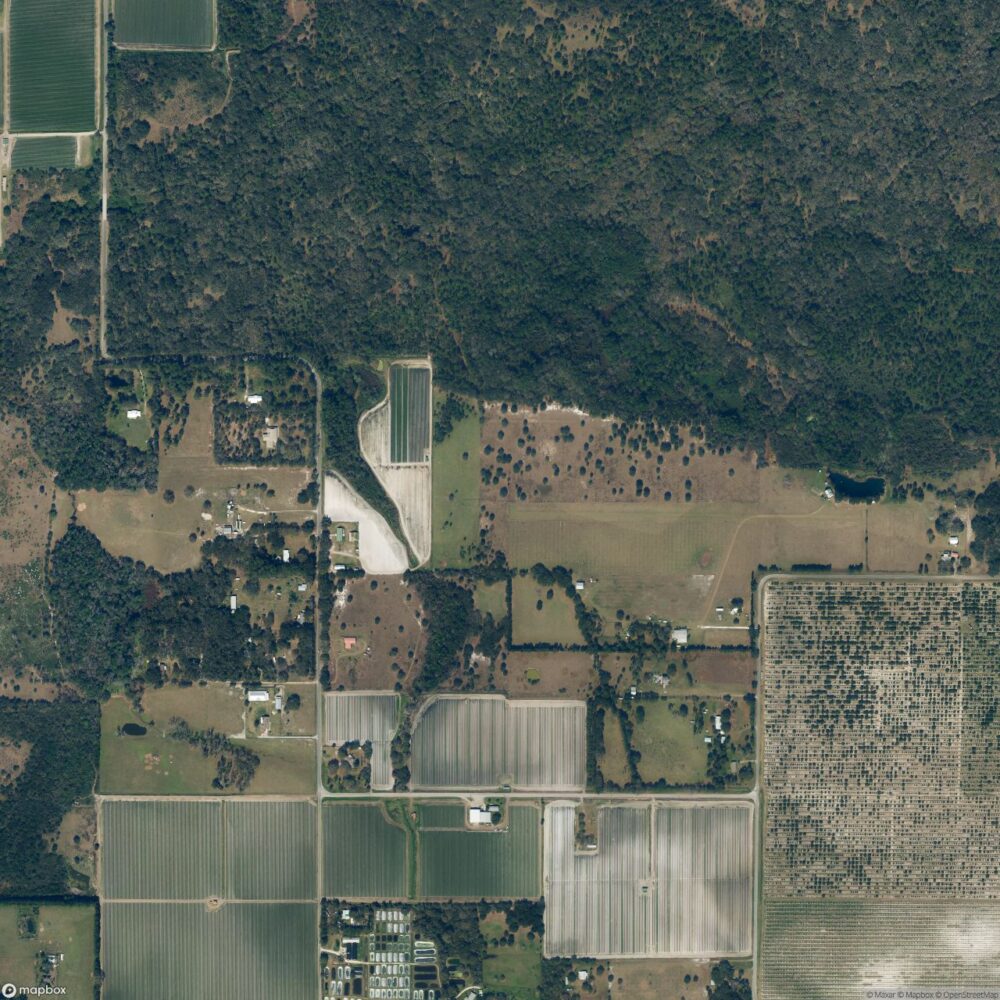 Gyro Town Usa