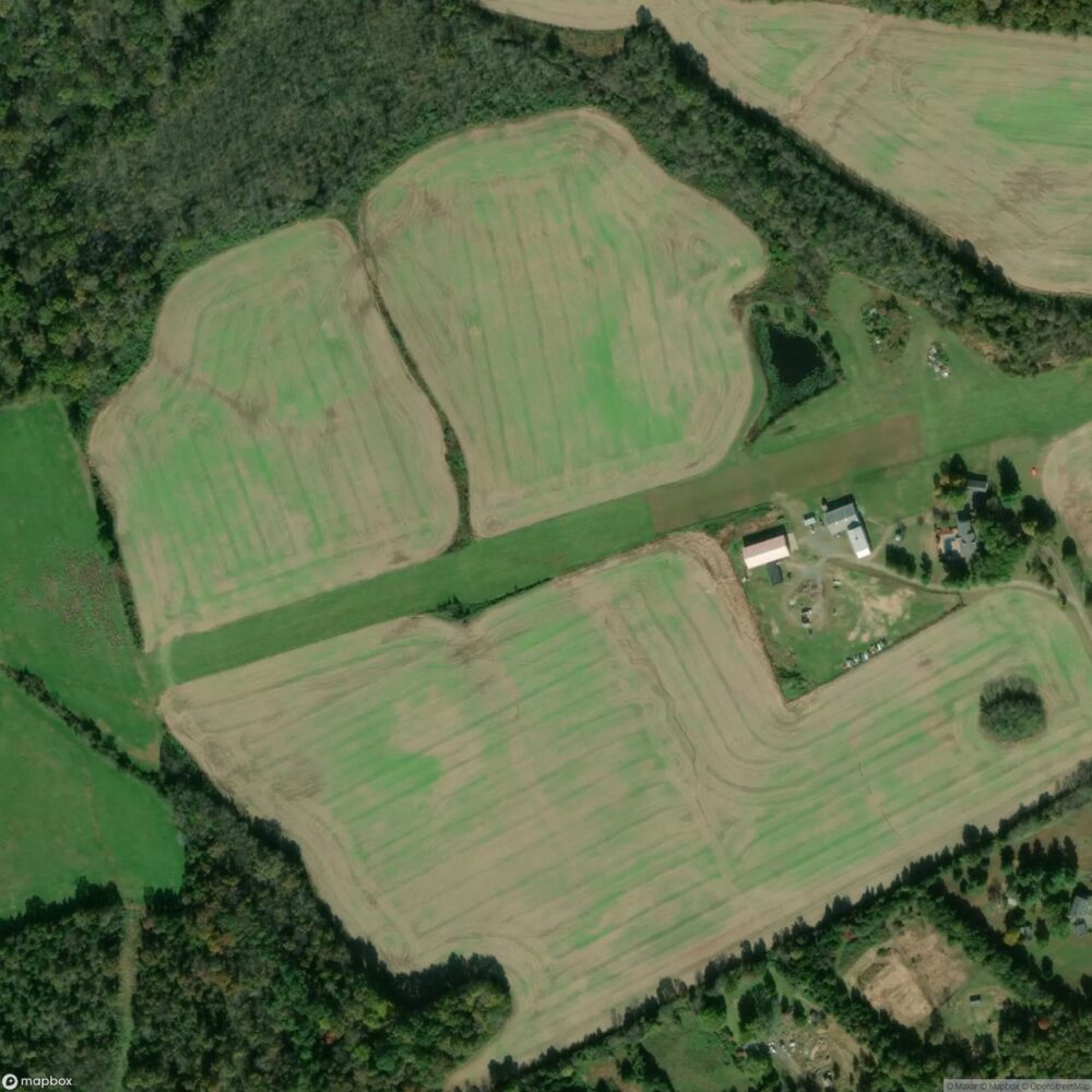Rhynalds Ranch