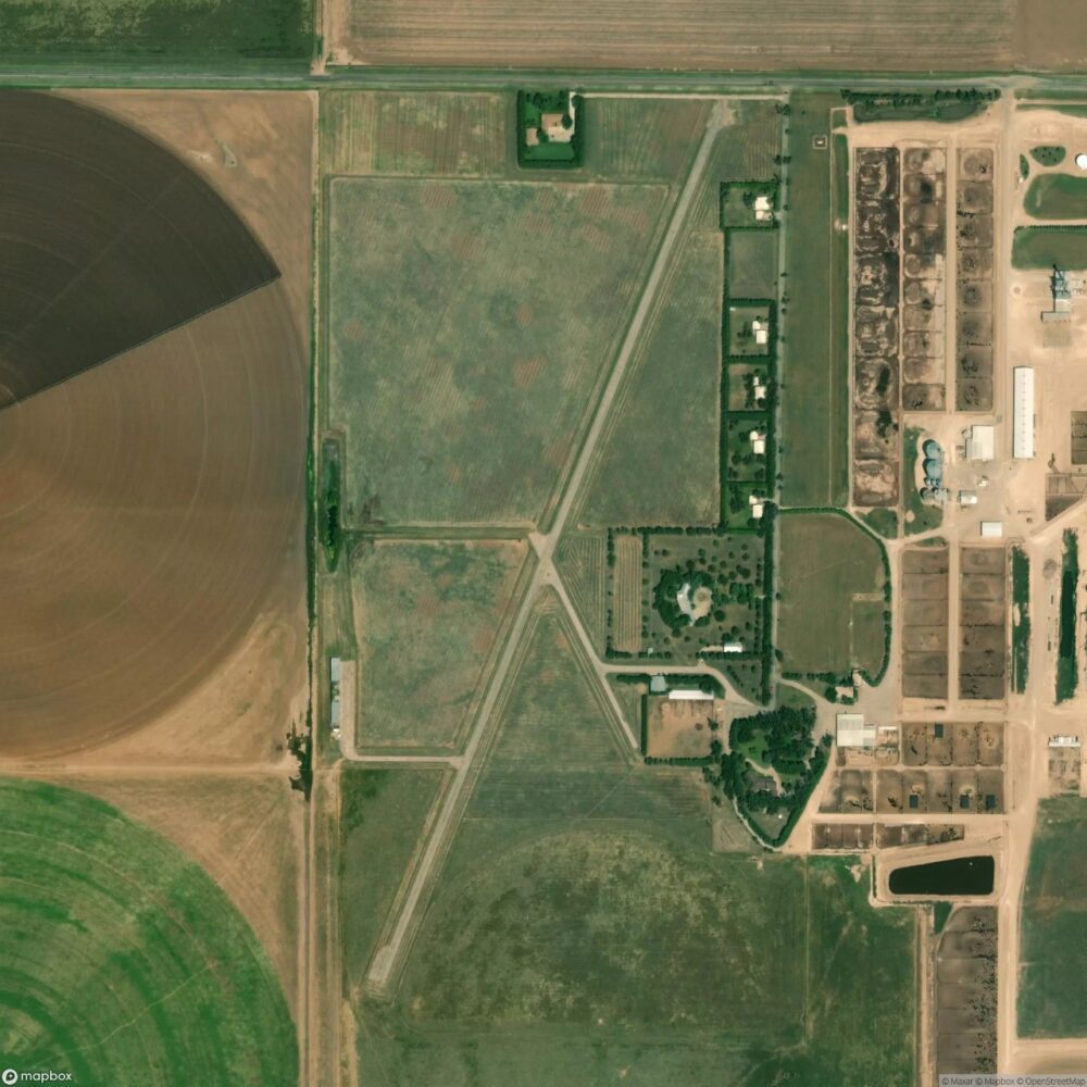 Cluck Ranch