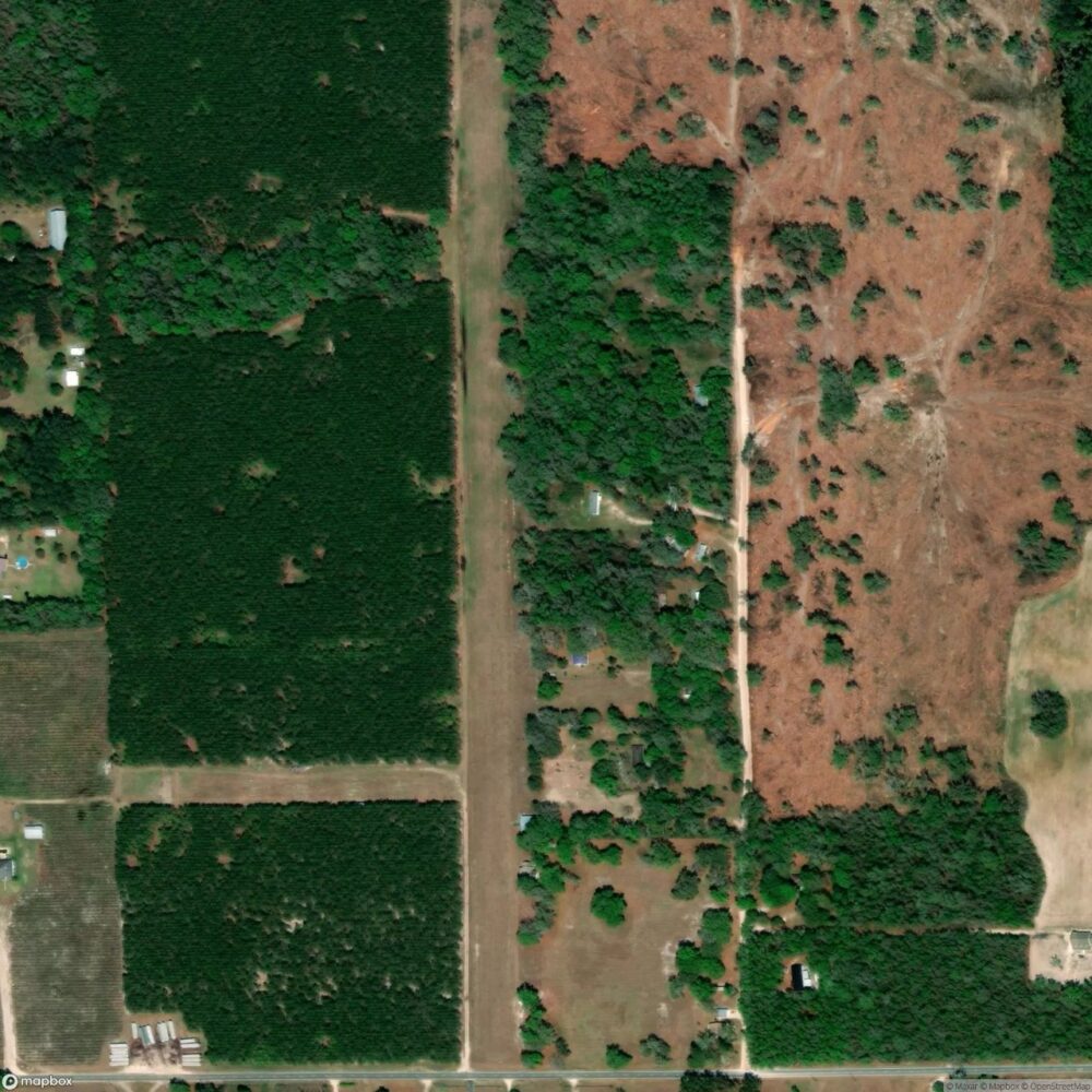 Flints Flying Ranch