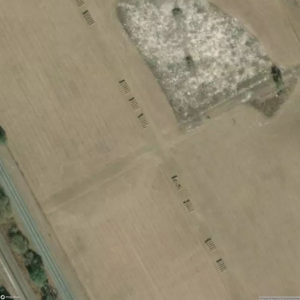 Lib Field