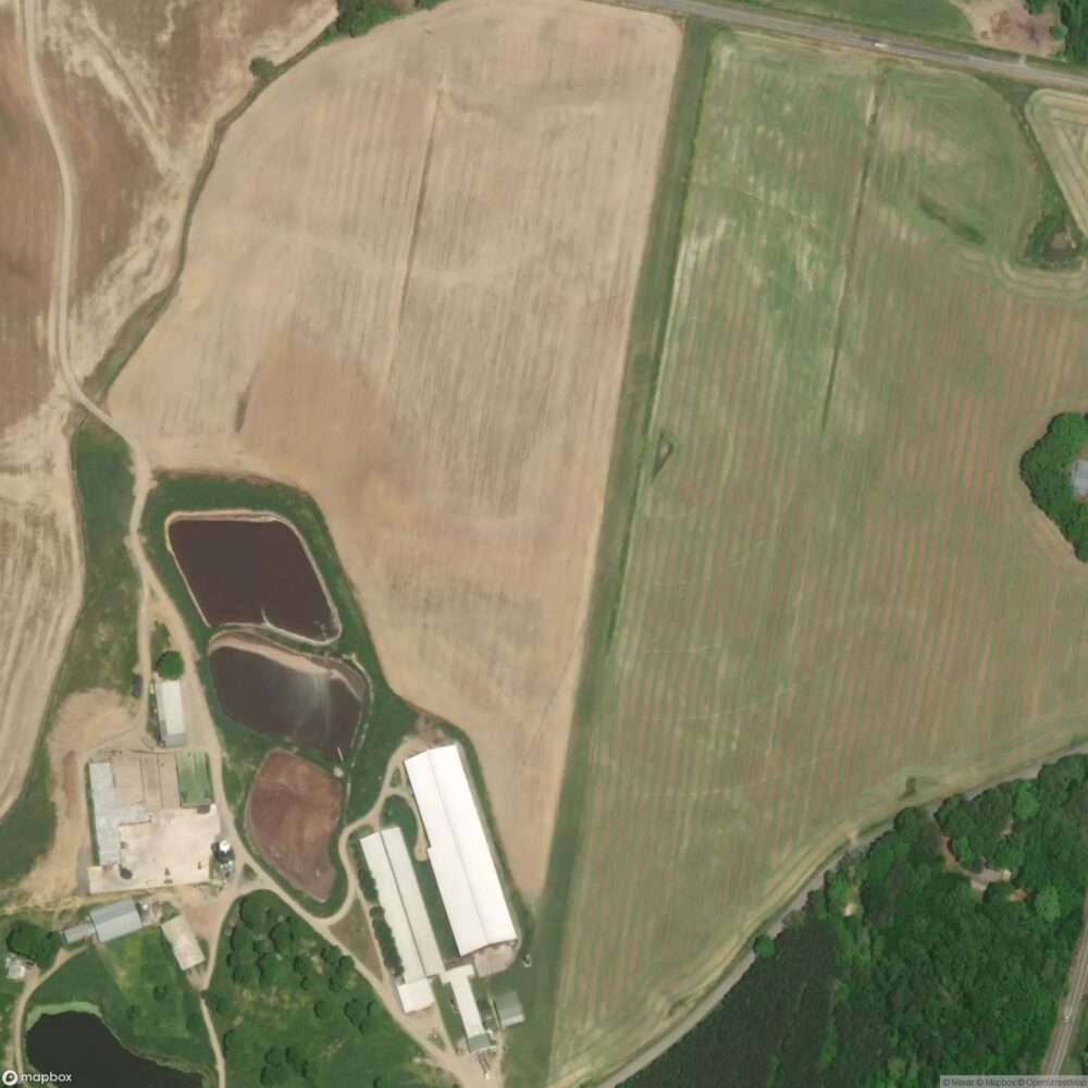 Petty Farms