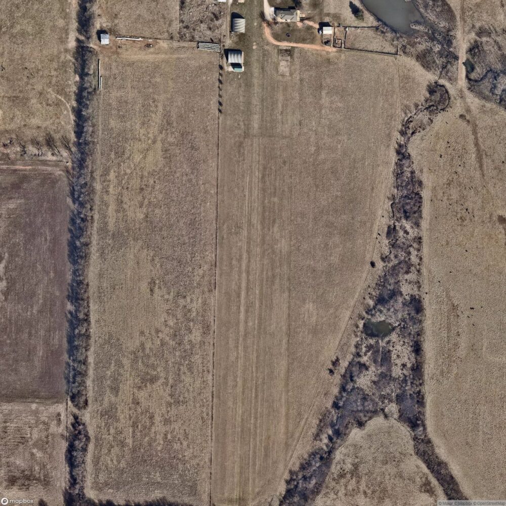 Bird Field