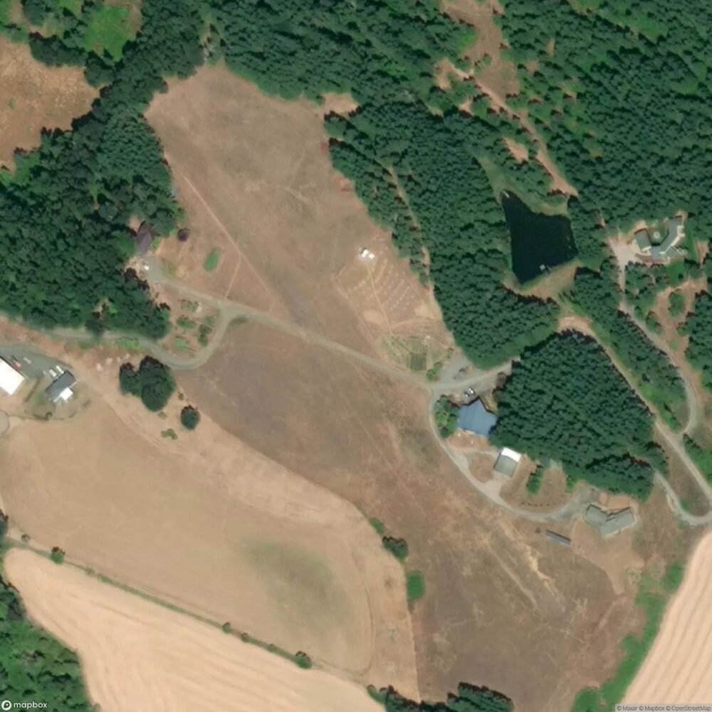 Mendenhall Airstrip