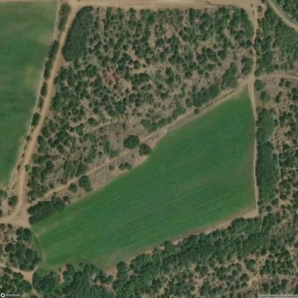 Flying M Ranch