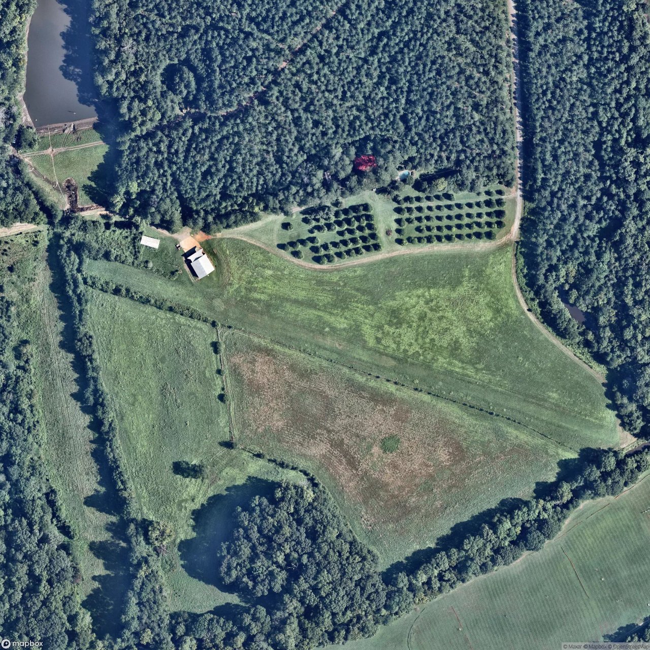 Holly Farm