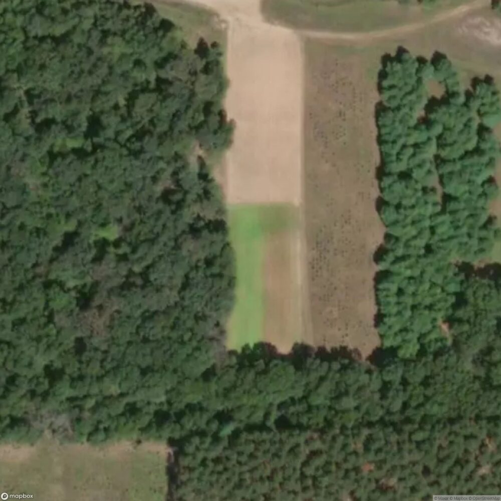 Plantation Pine