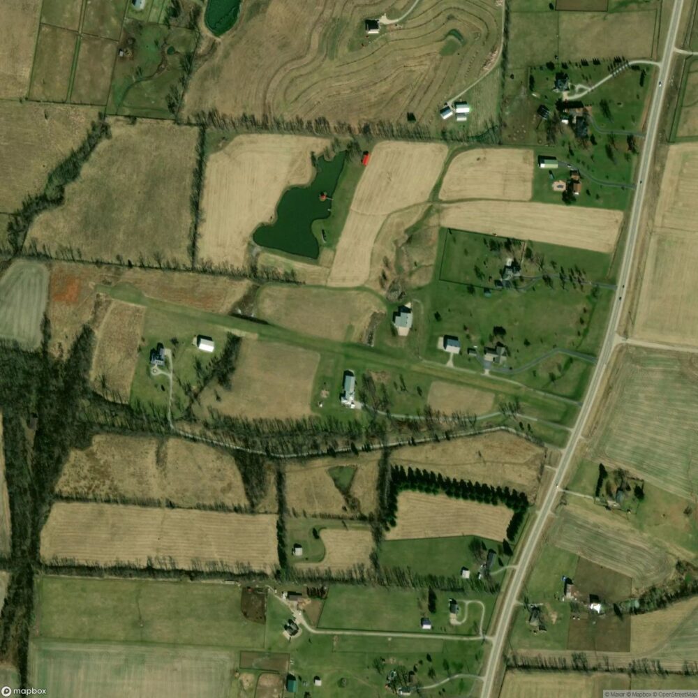 Rooster Field