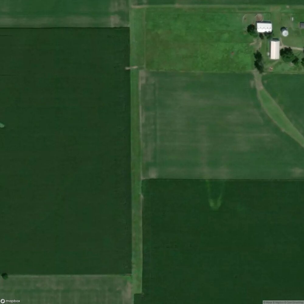 Rees Field