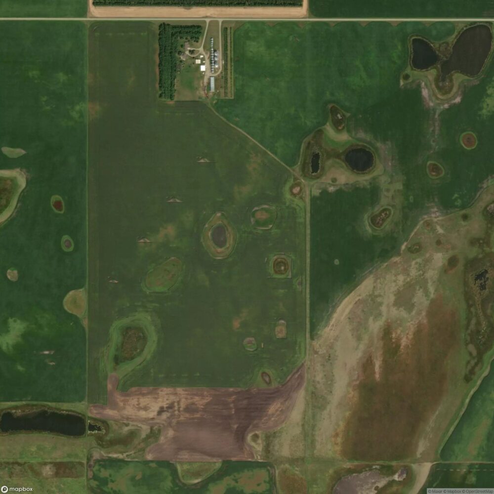 Dalamar Farms Airstrip