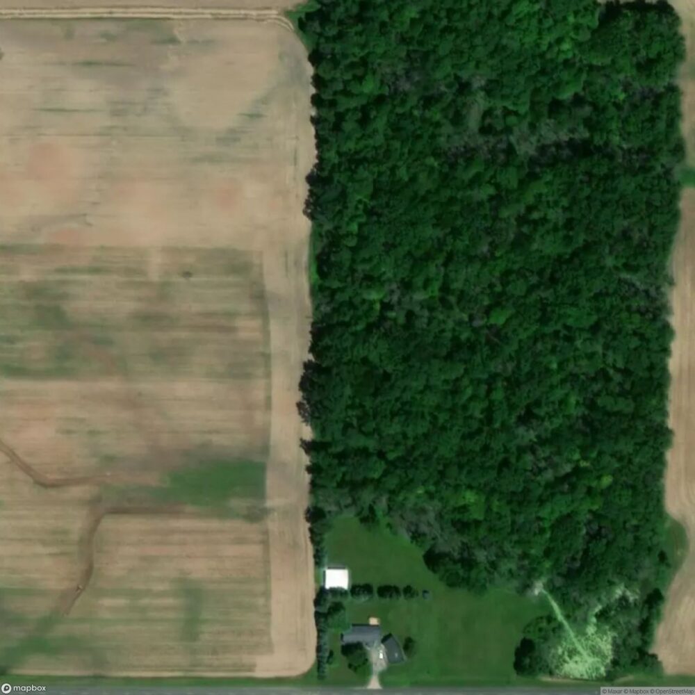 Feldmann Field