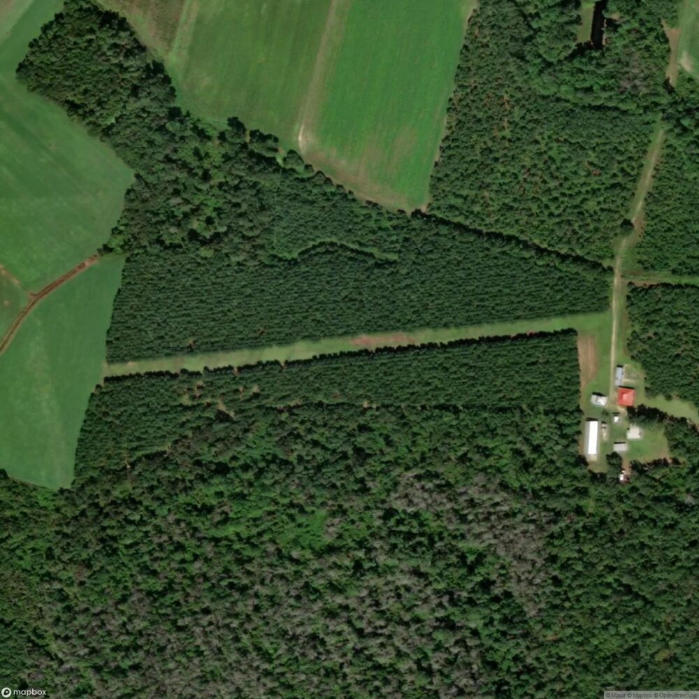 Mynatt Field