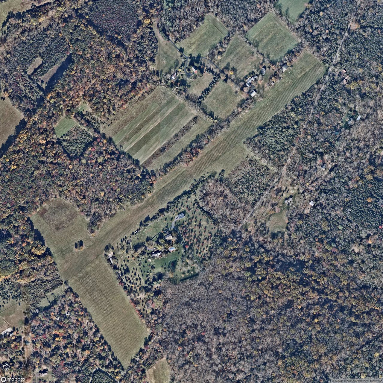 Hoge Farm