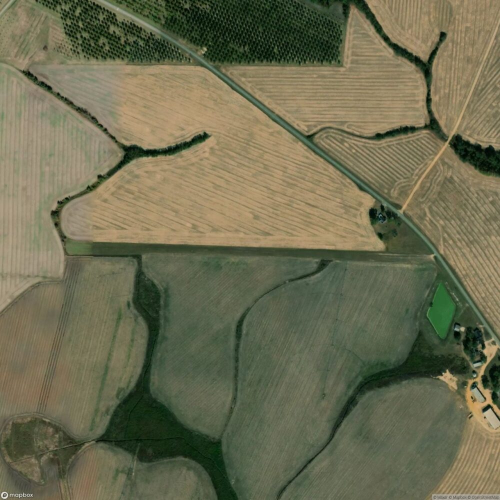 Roney Farms