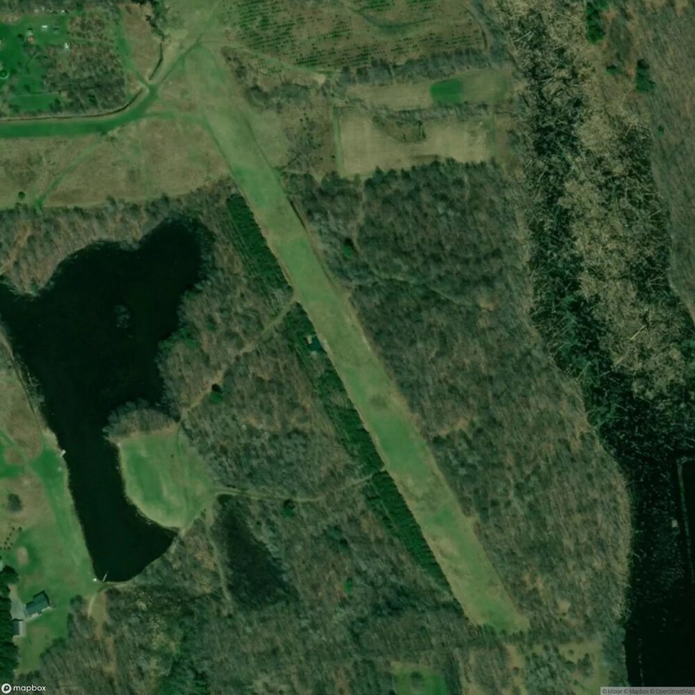Kingdom Field