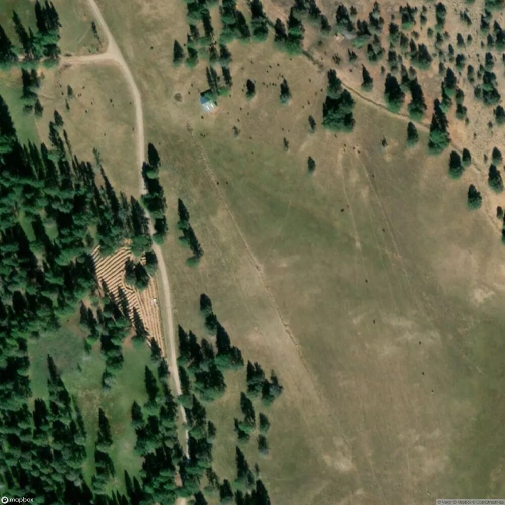 Flying T Ranch