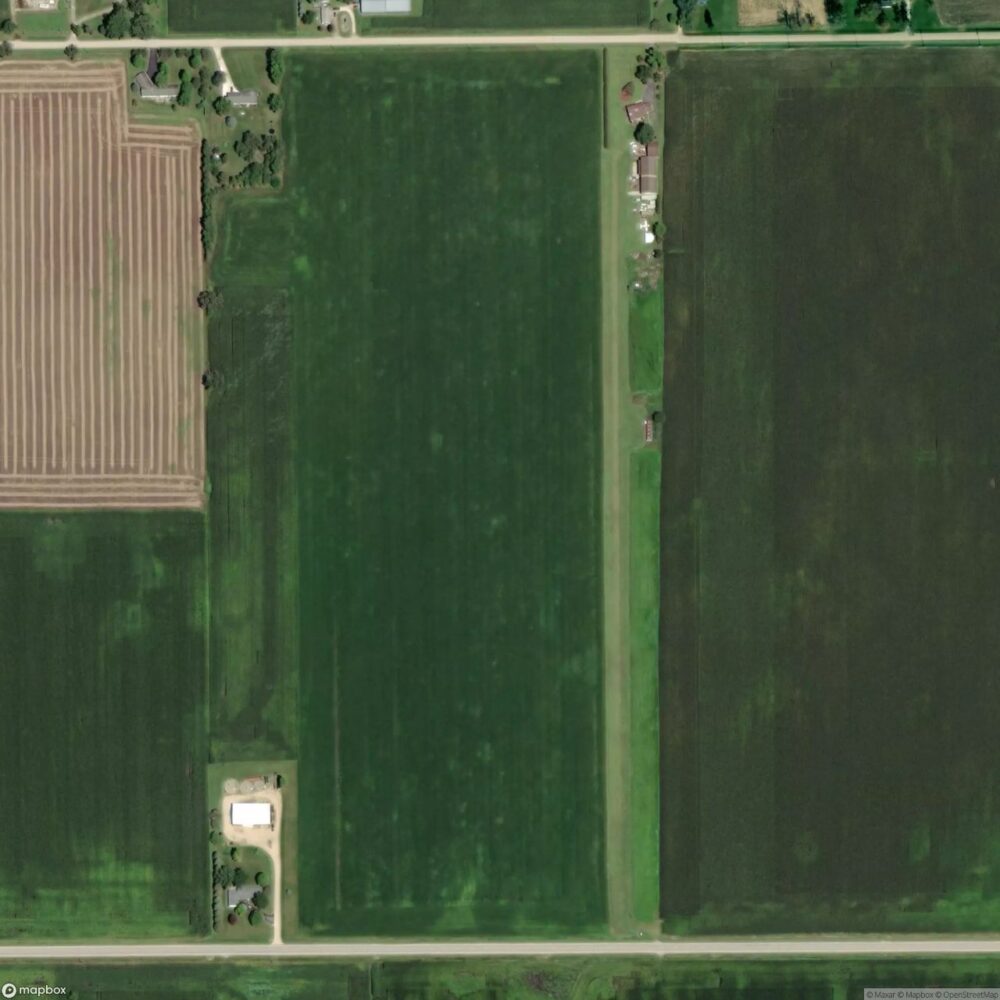 Ferris Field