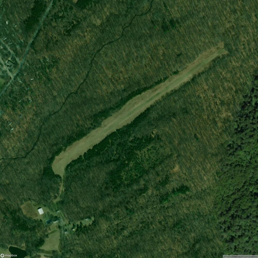 Mount Pleasant Landing Strip