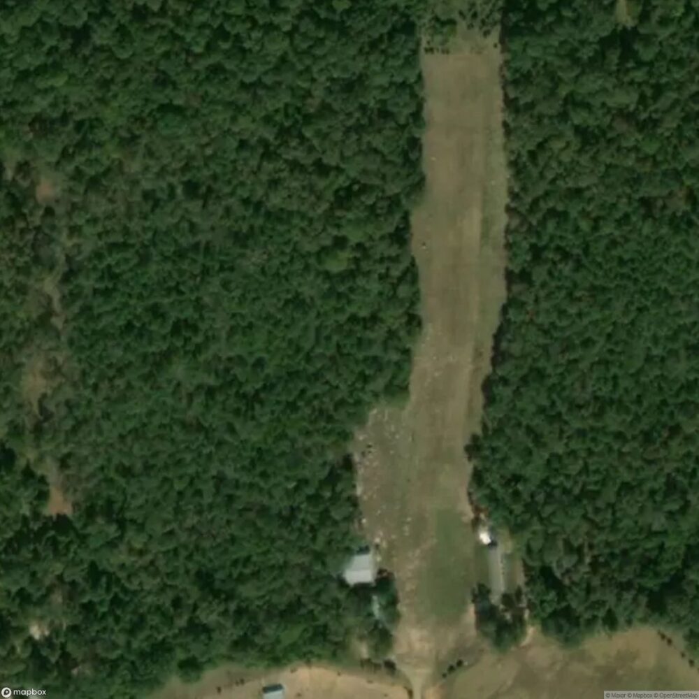McDonalds Airstrip