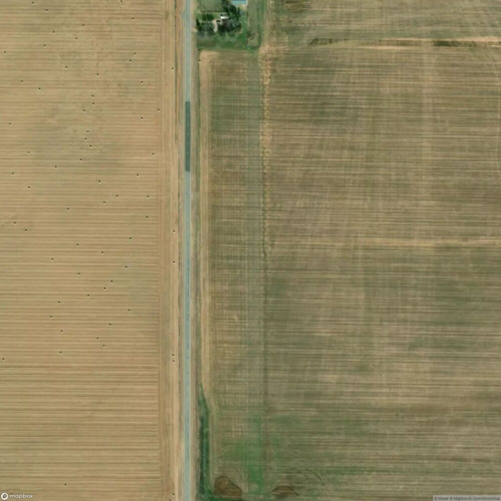 Pinsons Cottonpatch