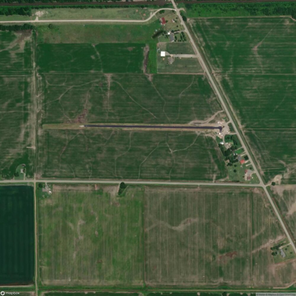 Randal Field