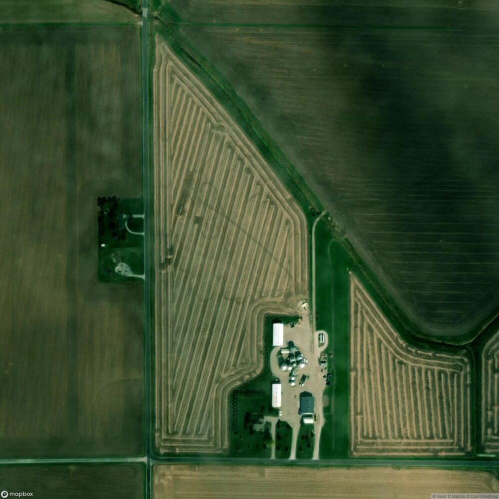 Murphy Farms