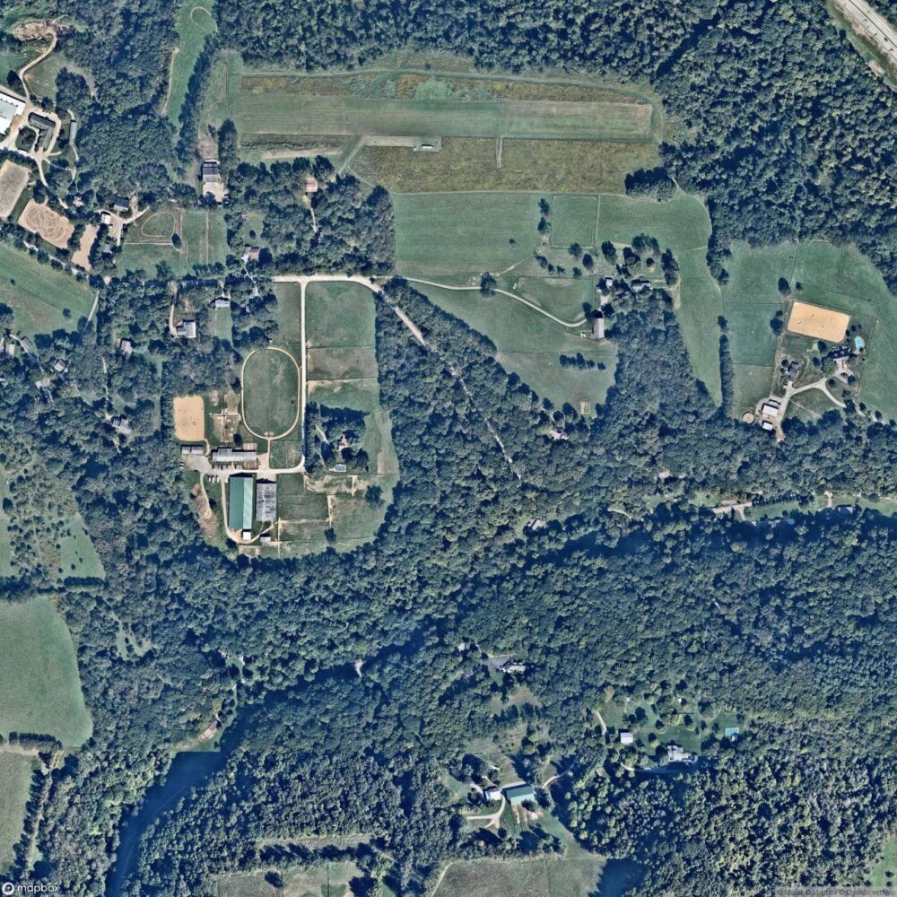 Nardo