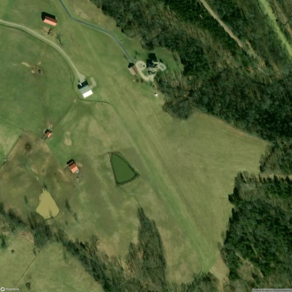 Little Mount Intl