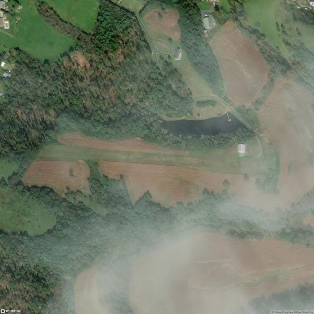 Root Field