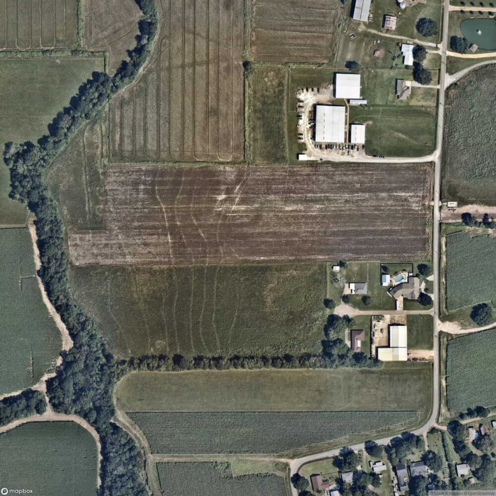 Freebird Field