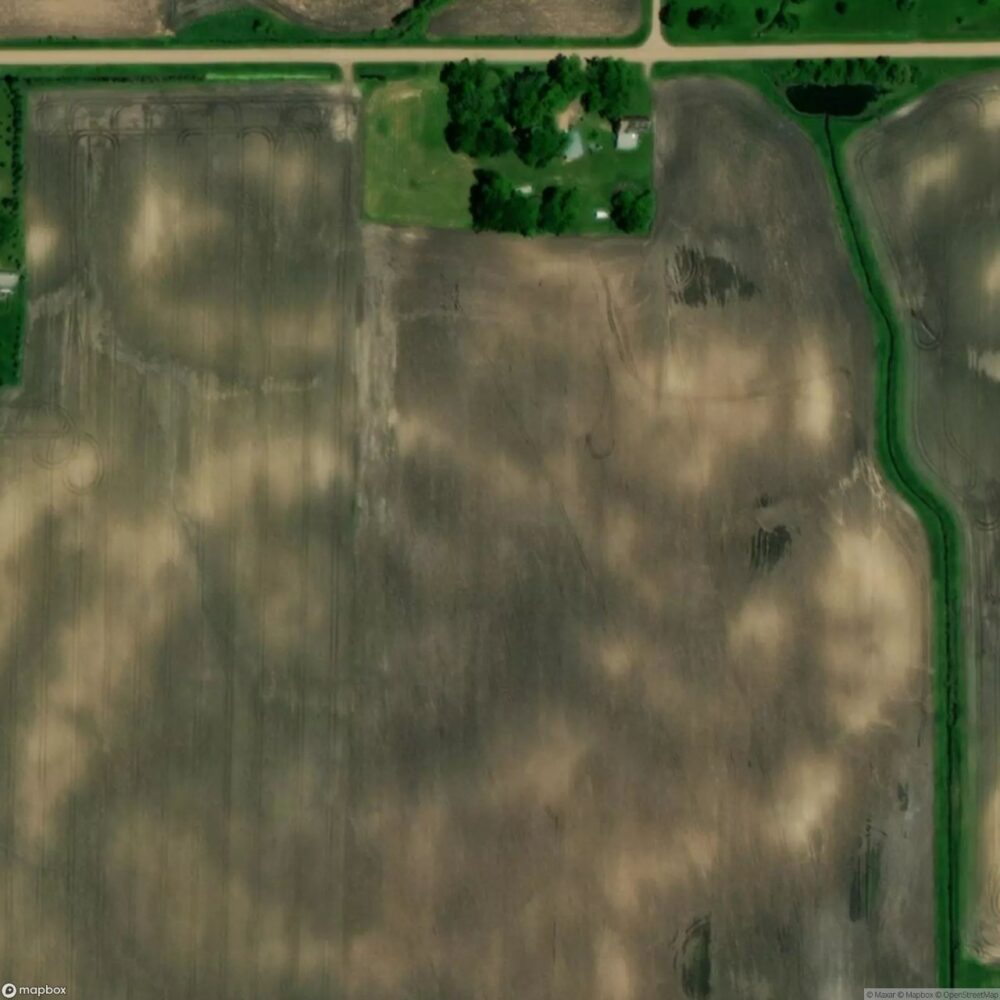 Fox Field