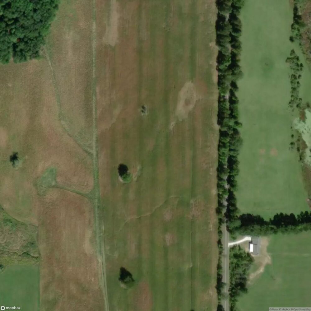 Cupp-Sjvs Landing Strip