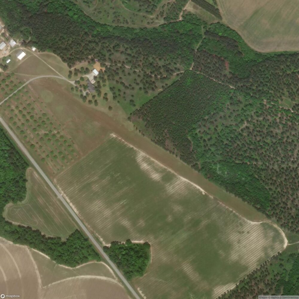 Midville Intl